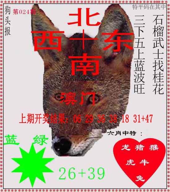 024期狗头报[图]