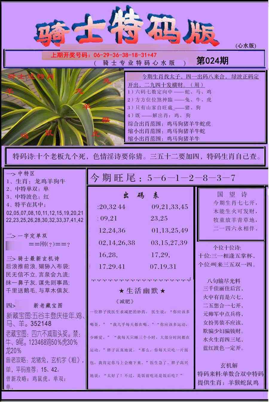 024期骑士特码版[图]