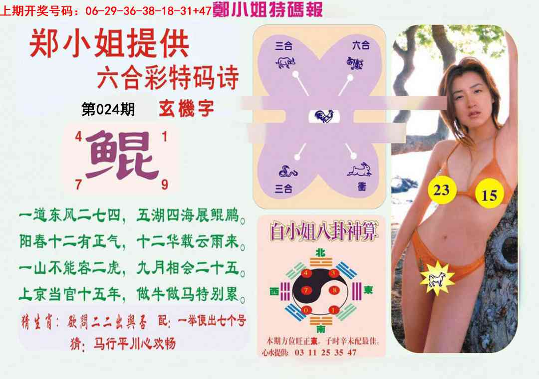 024期郑小姐特码报B[图]