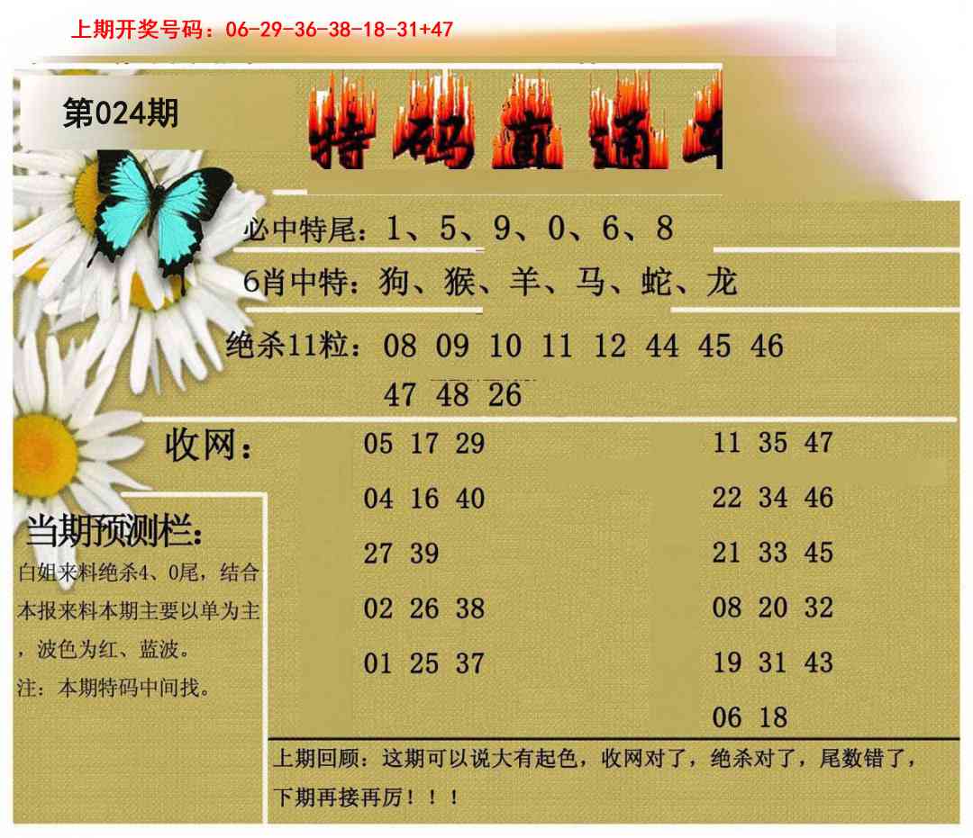 024期特码直通车[图]