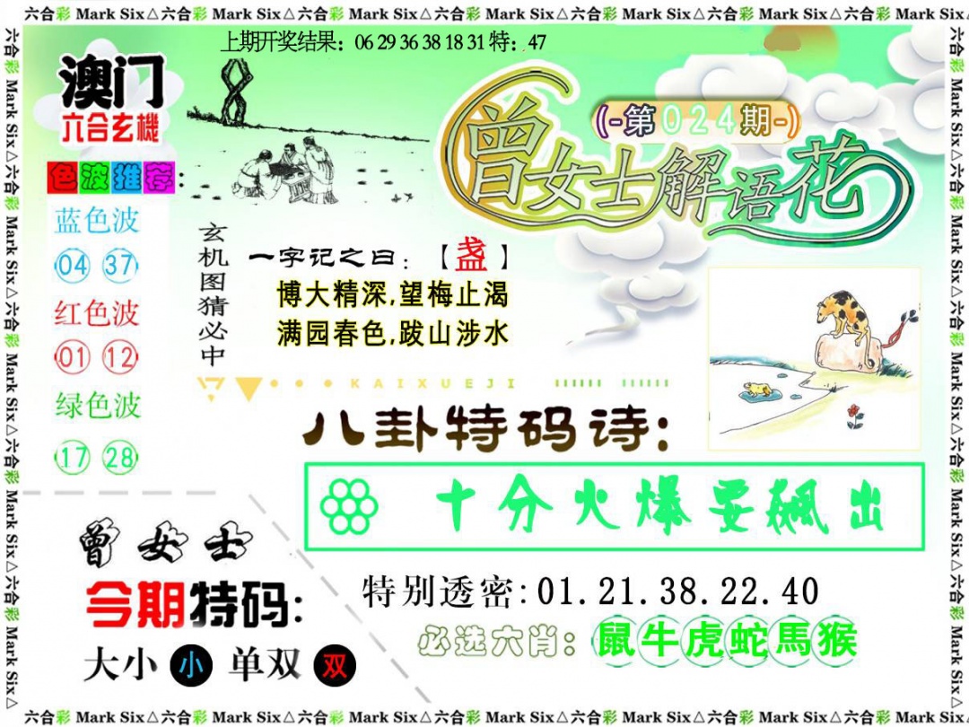 024期曾女士解语花[图]