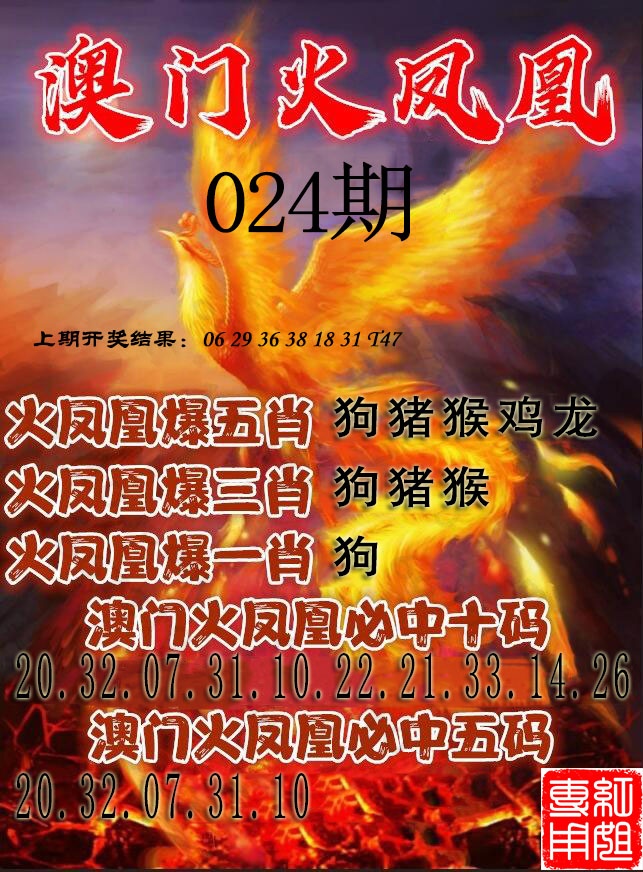 024期火凤凰[图]