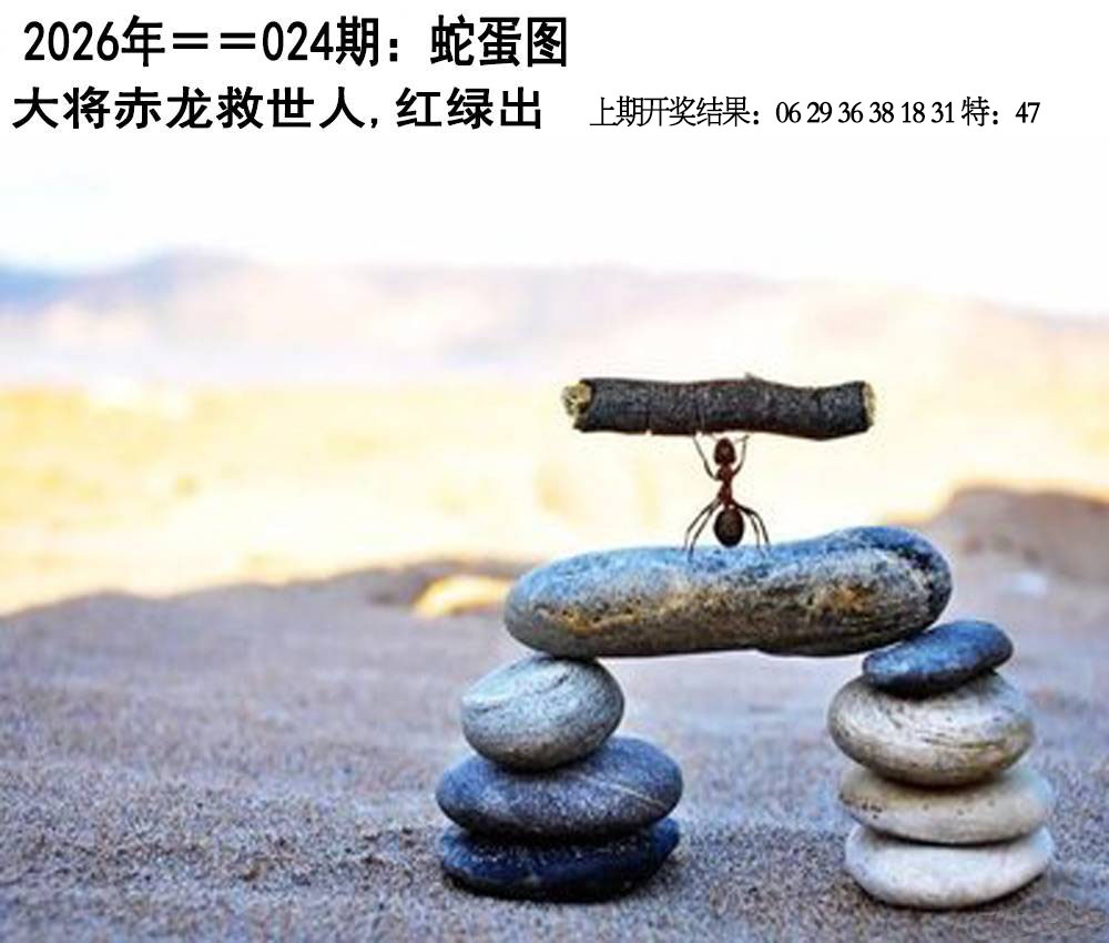 024期另版蛇蛋图[图]