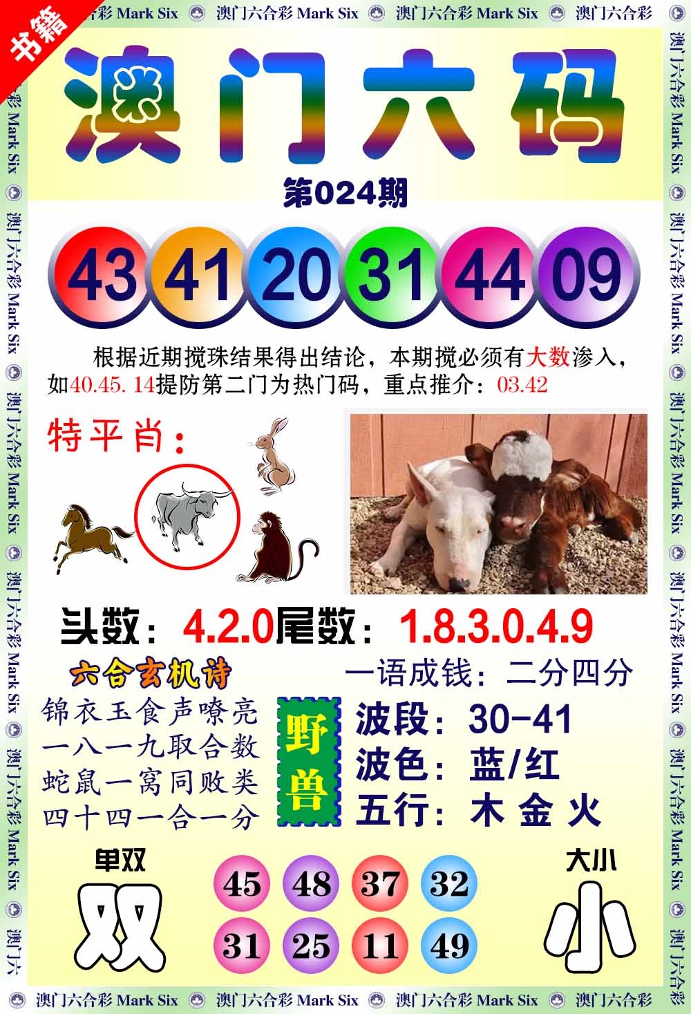 024期澳门望子成龙[图]