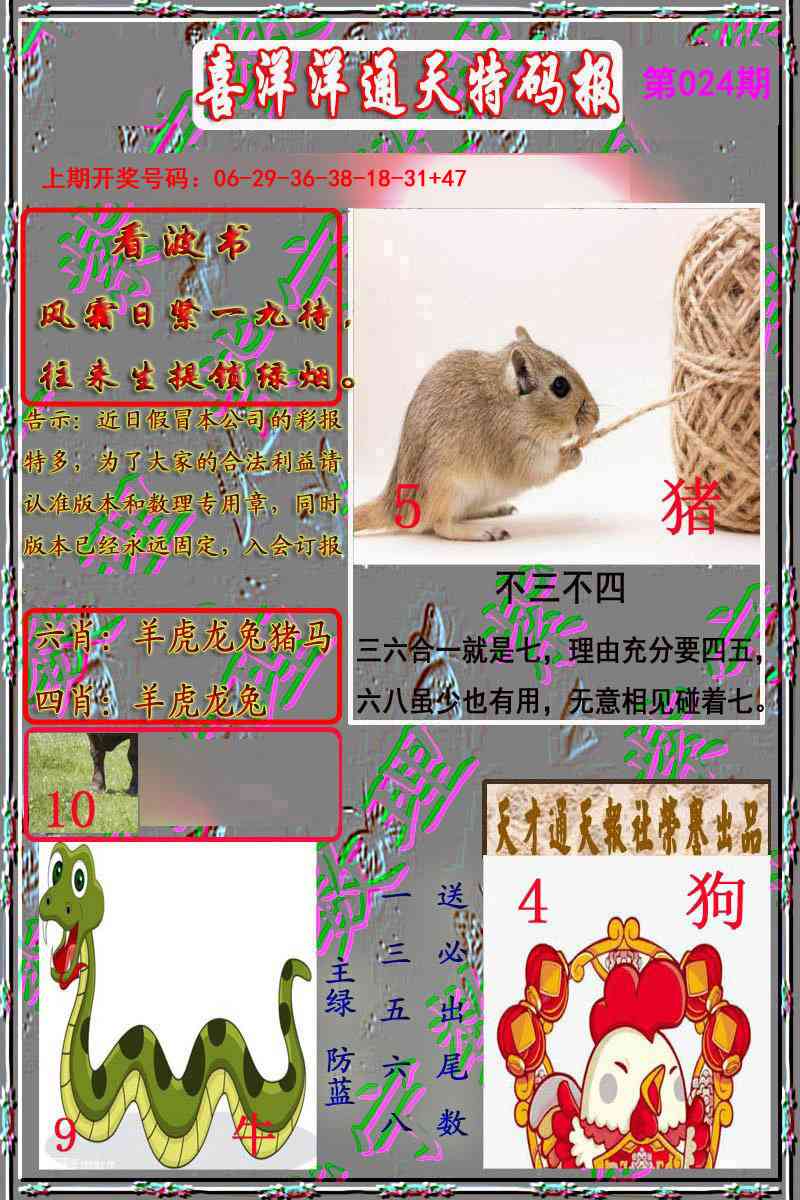 024期洋通报[图]