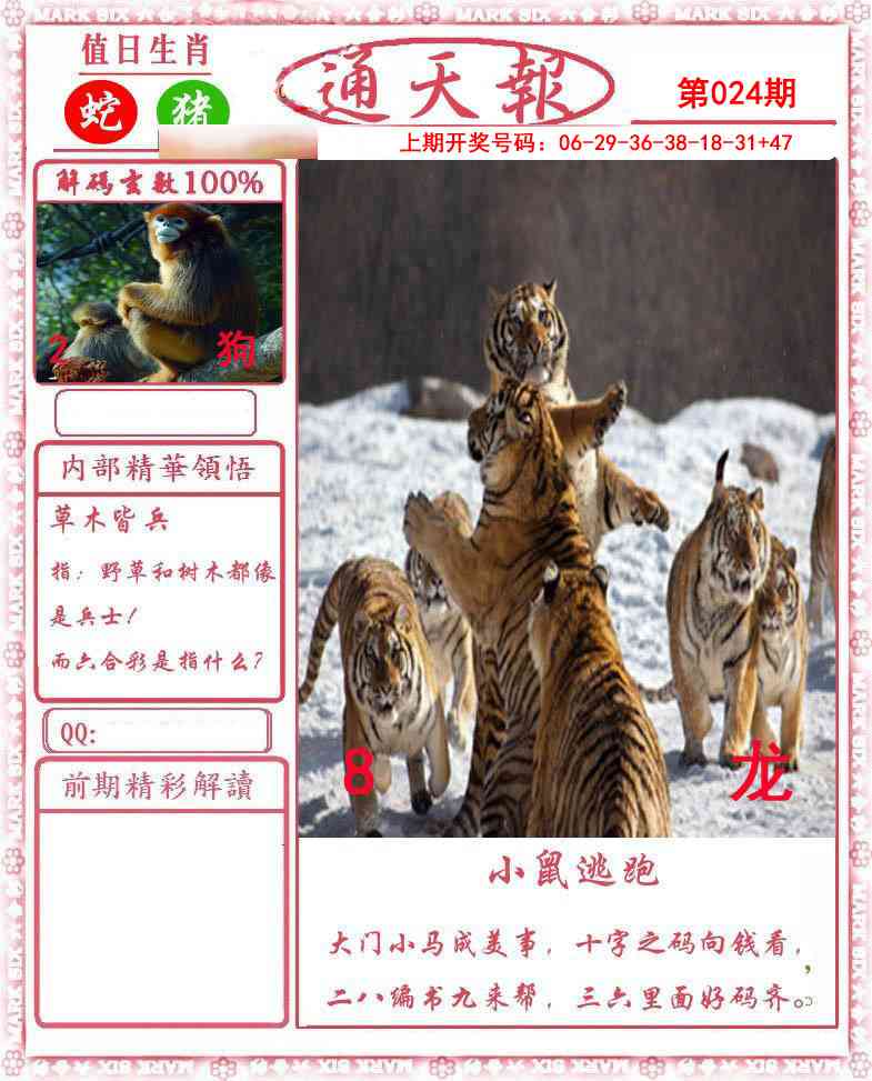 024期正版通天报[图]