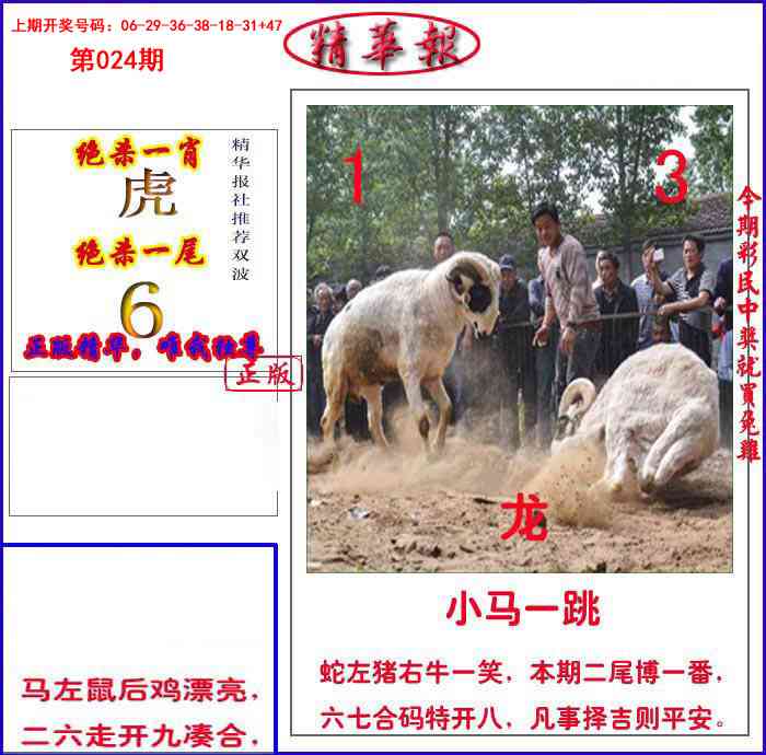 024期新精华报报[图]