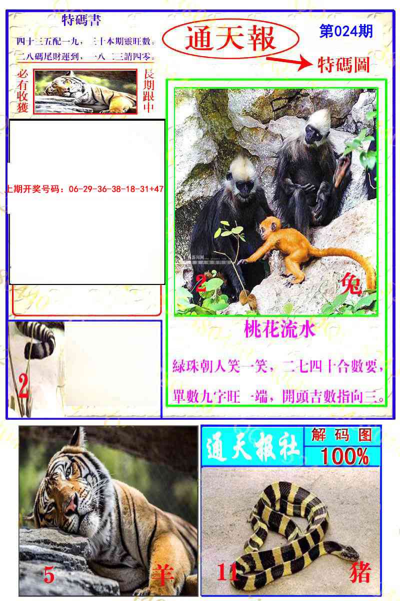 024期通天特解图[图]