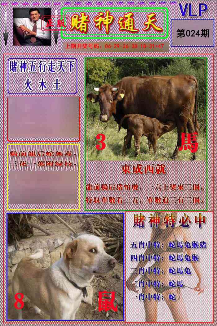 024期赌神通天报[图]