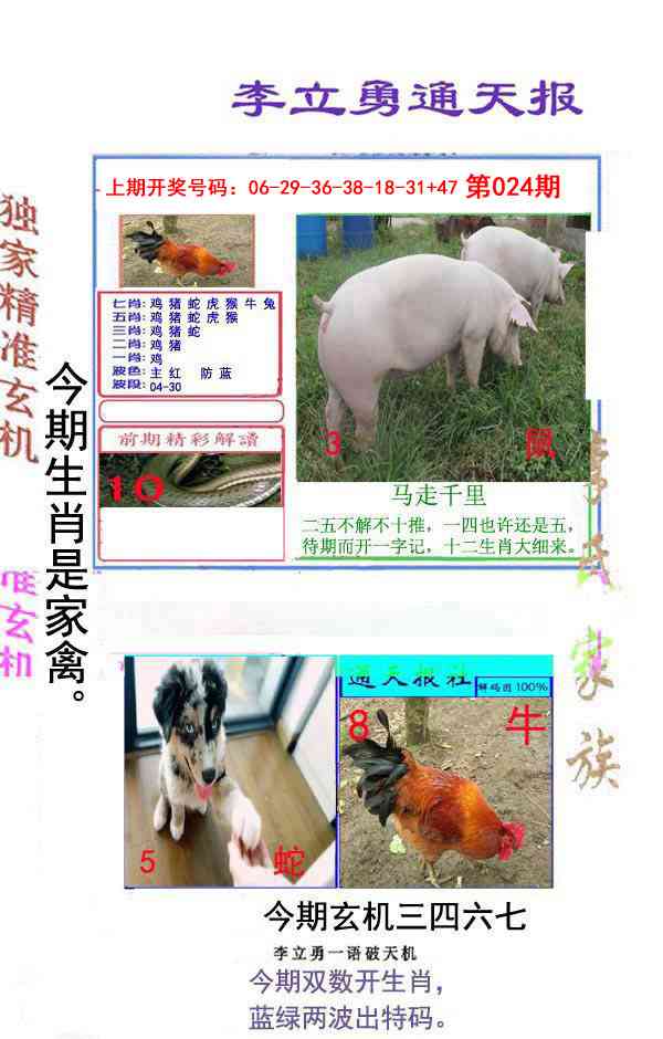 024期李立勇通天报[图]