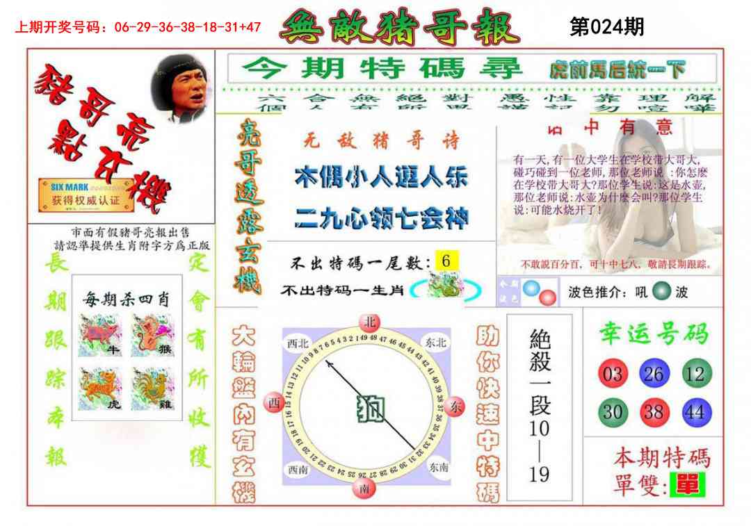 024期无敌猪哥[图]