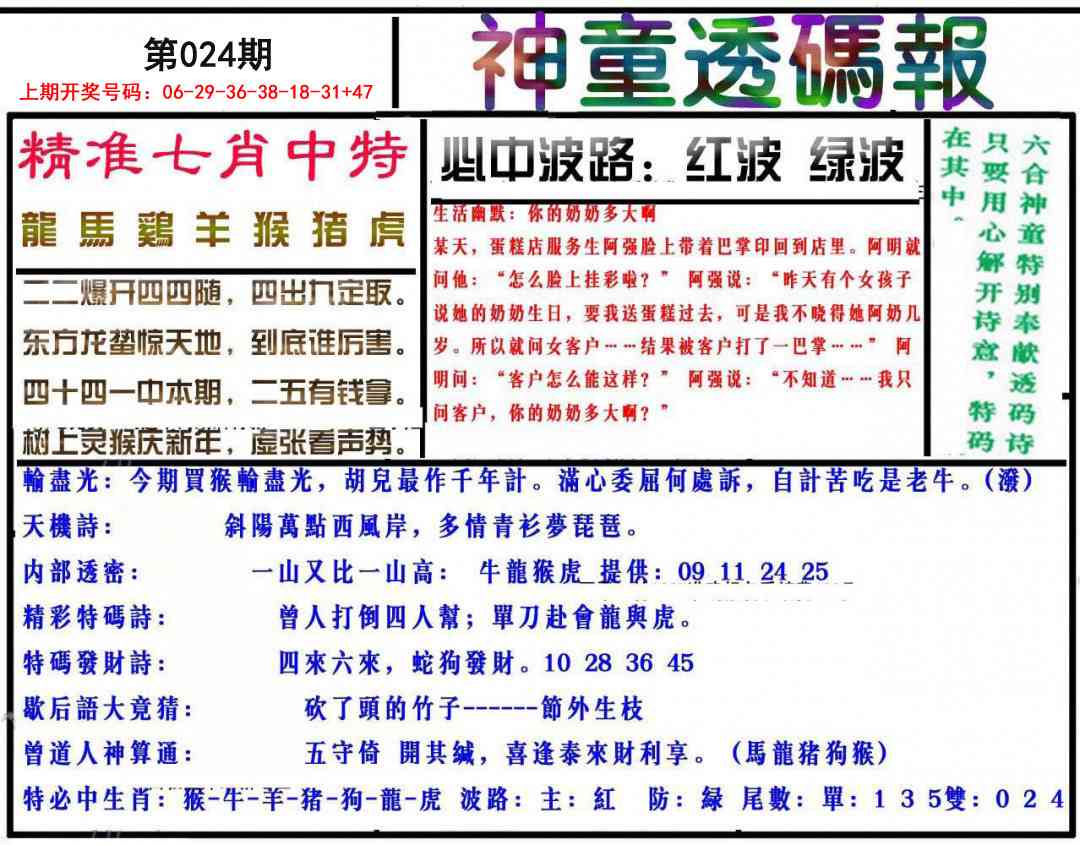 024期神童透码报[图]