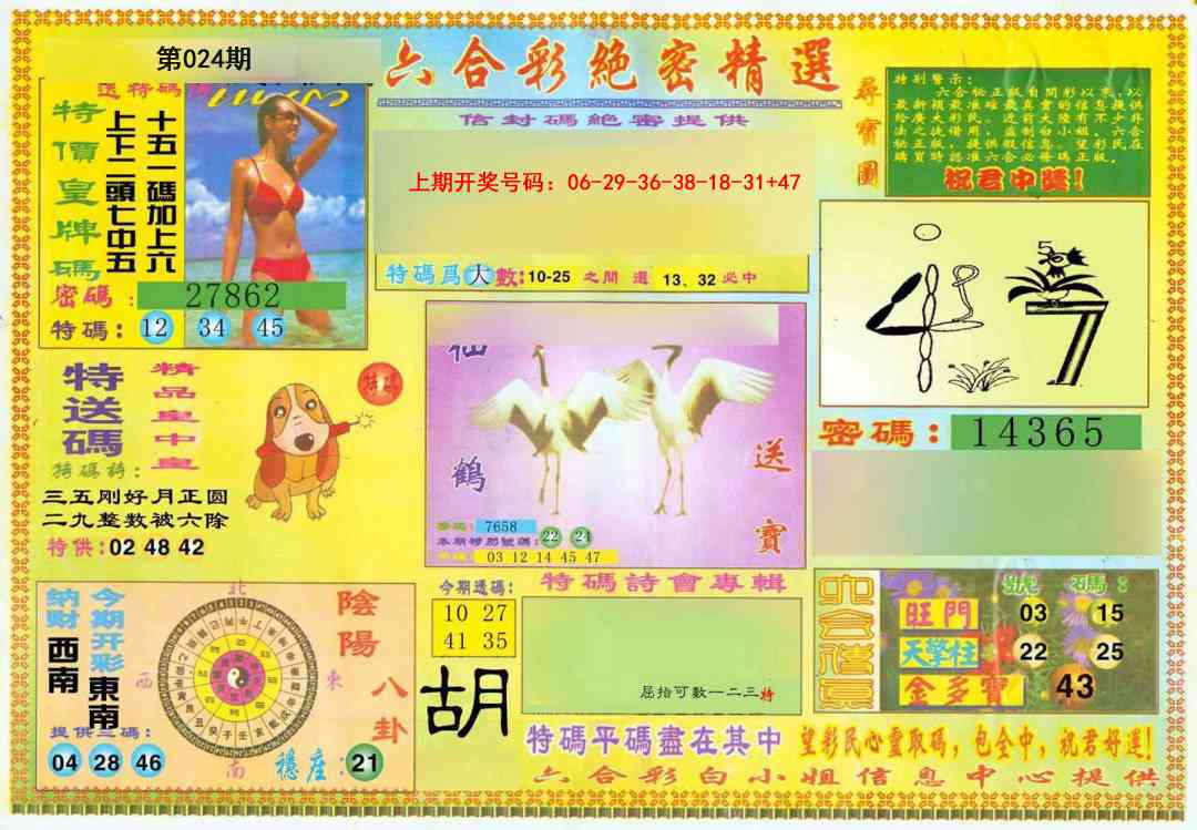 024期绝密精选A[图]