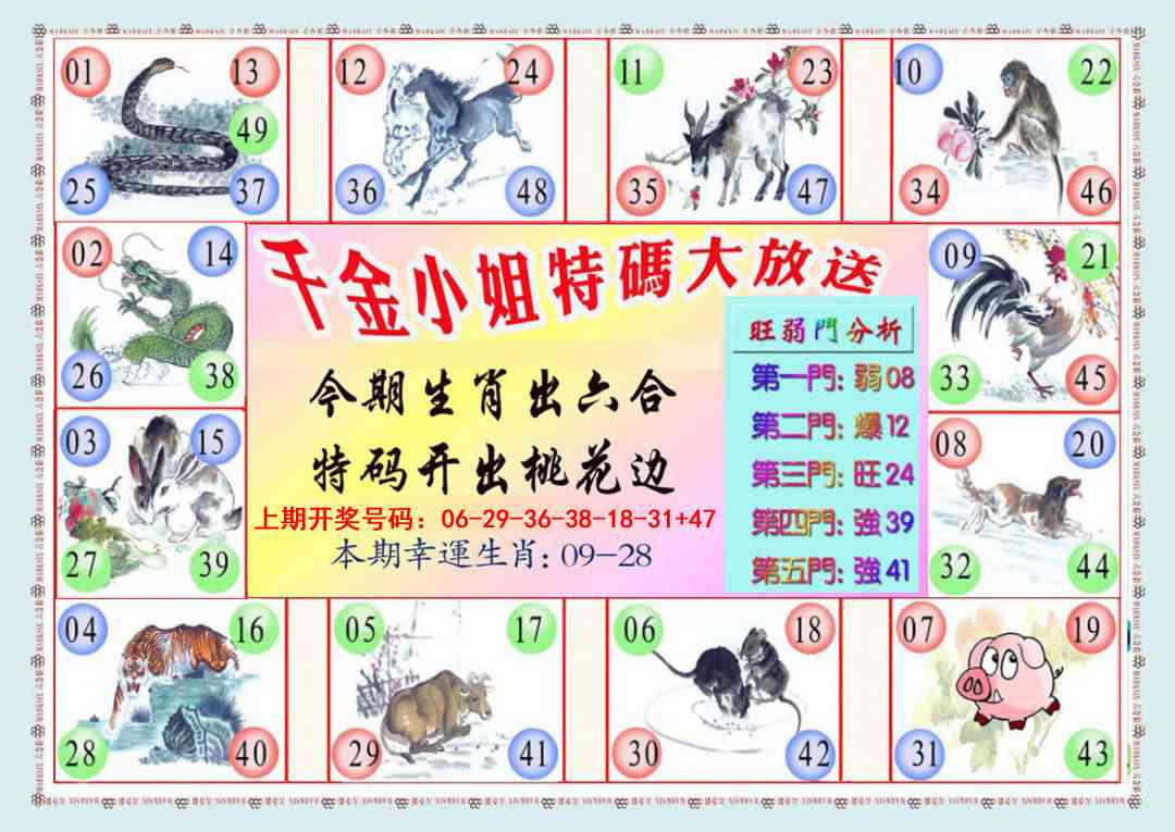 024期千金小姐B版[图]