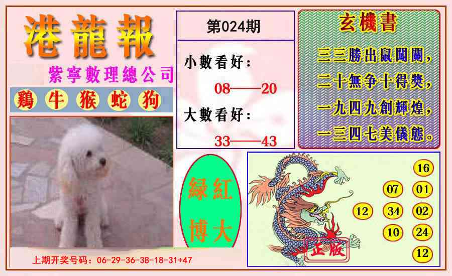 024期港龙报[图]