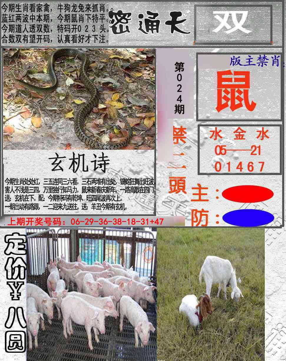 024期密通天[图]