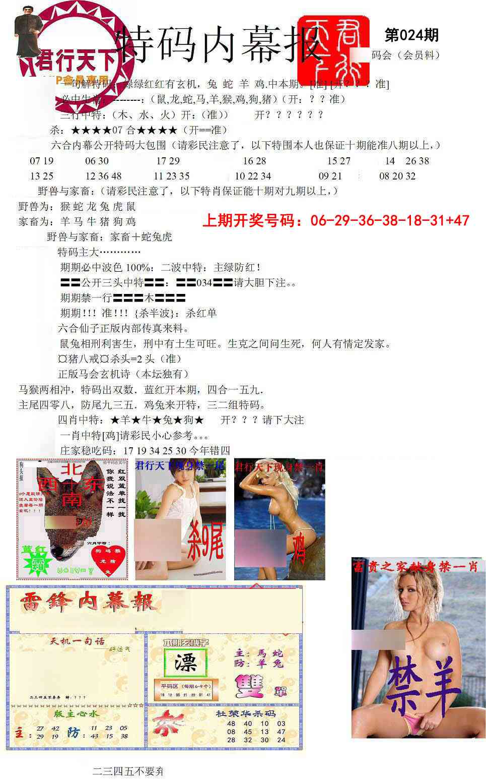 024期特码内幕报[图]