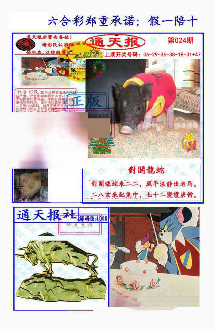 024期假一陪十通天报[图]