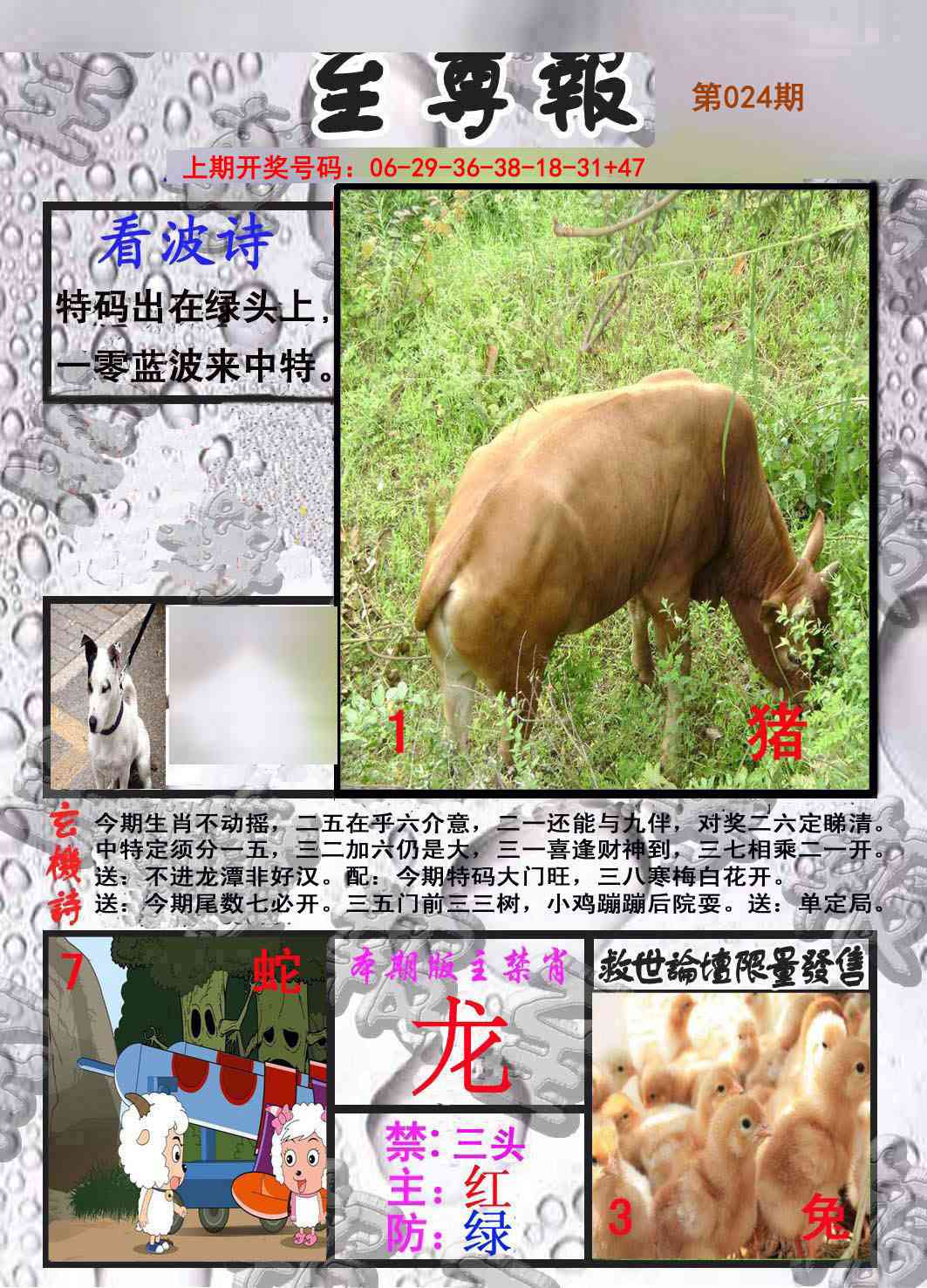 024期至尊报[图]