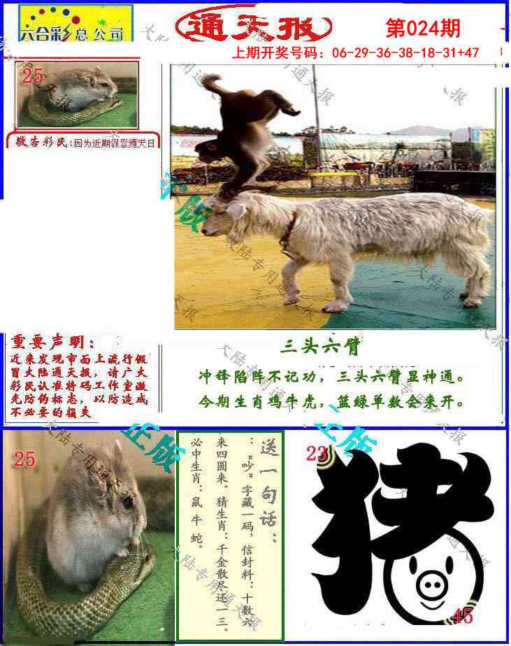 024期大陆通天报[图]