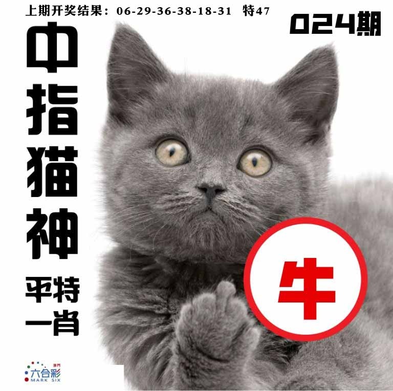 024期中指猫神[图]