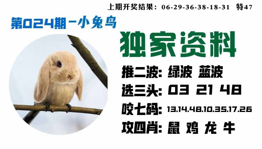 024期小兔鸟[图]